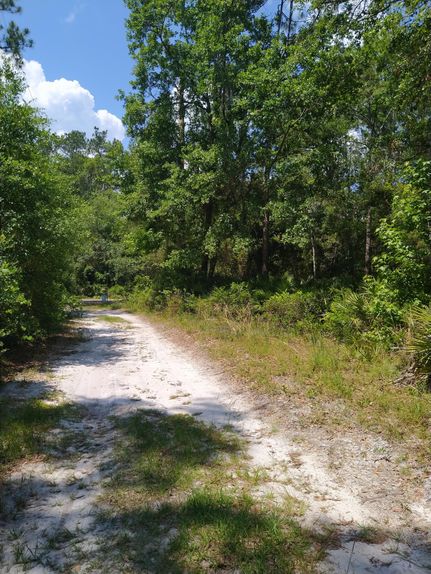 Timberland Property in Putnam County, Florida