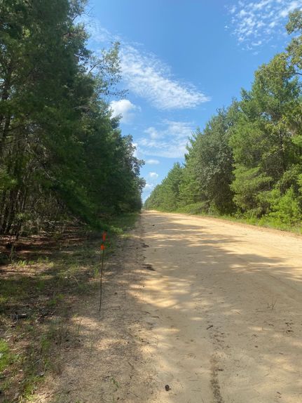 Farm and Ranch in Putnam County, Florida