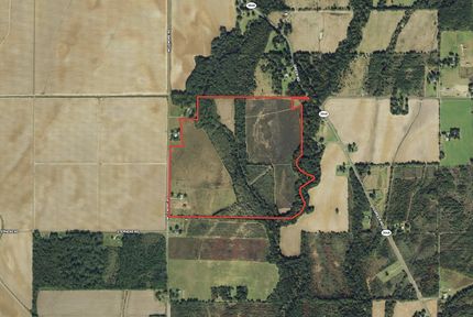 Land for sale in Richland Parish, Louisiana