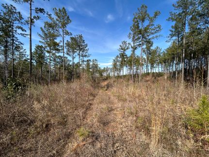 Recreational Property in Dale County, Alabama