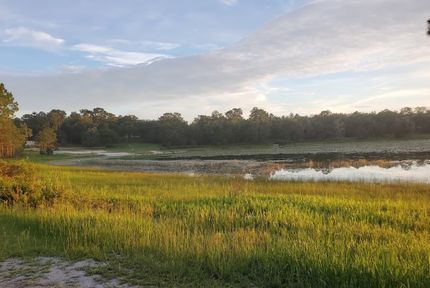Undeveloped Land in Putnam County, Florida
