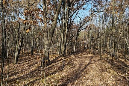 Hunting Property in Dunn County, Wisconsin