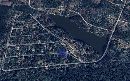 Undeveloped Land in Tyler County, Texas