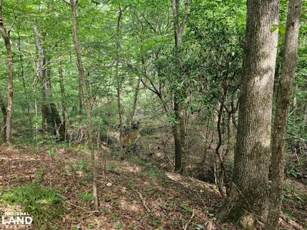 Farm and Ranch in Marion County, Alabama