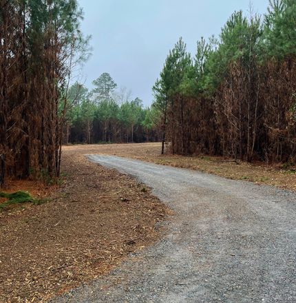 Farm and Ranch in Harrison County, Texas