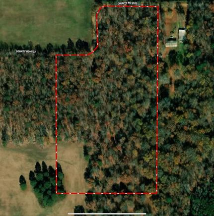 Timberland Property for sale in Bowie County, Texas