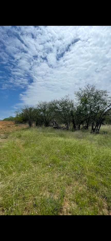 Undeveloped Land for sale in Atascosa County, Texas