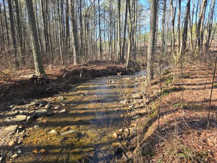 Oceanfront Property for sale in Gilmer County, Georgia