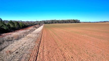 Undeveloped Land in Randolph County, Georgia