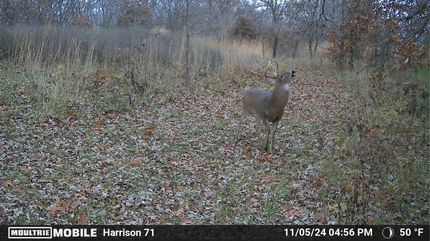 Recreational Property in Harrison County, Missouri
