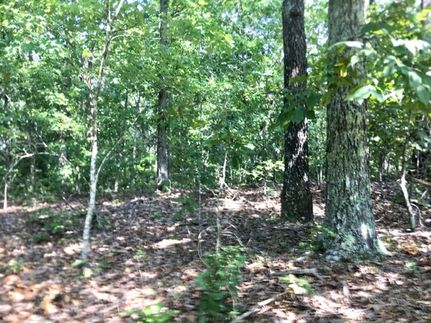 Undeveloped Land in Shannon County, Missouri