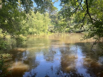 Undeveloped Land in Bulloch County, Georgia