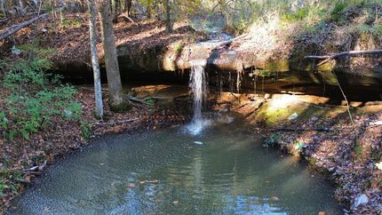 Recreational Property in Winston County, Alabama