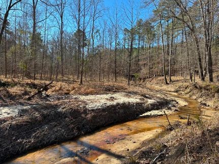 Land for sale in Fairfield County, South Carolina