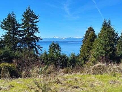 Timberland Property in King County, Washington