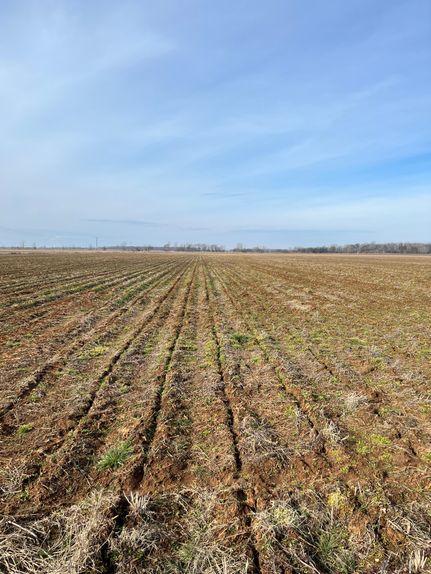 Farm and Ranch for sale in Lonoke County, Arkansas