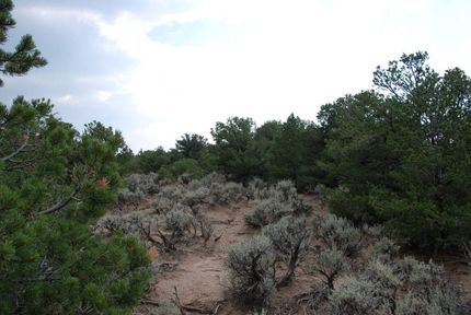 Undeveloped Land in Costilla County, Colorado