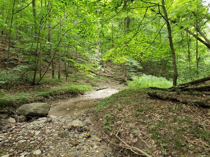 Undeveloped Land in Vermillion County, Indiana