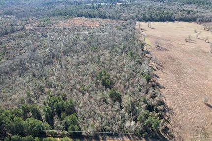 Timberland Property for sale in Shelby County, Texas