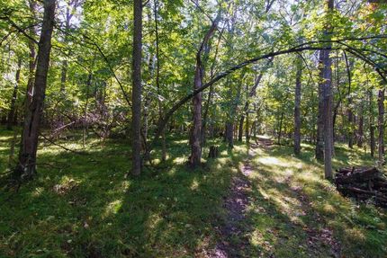 Undeveloped Land in Crow Wing County, Minnesota