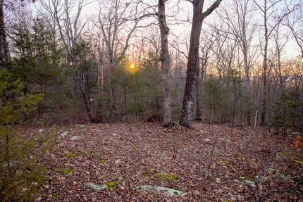 Timberland Property in Madison County, Arkansas