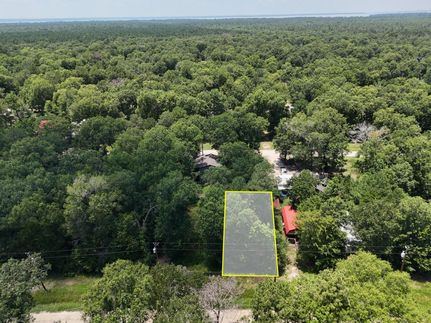 Undeveloped Land in Polk County, Texas