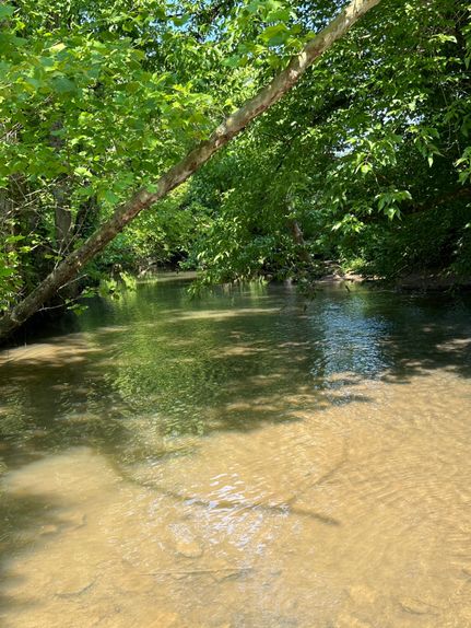 Farm and Ranch in Hancock County, Tennessee