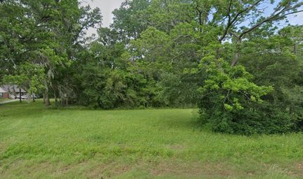 Undeveloped Land in Brazoria County, Texas
