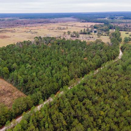 Land in Newton County, Texas