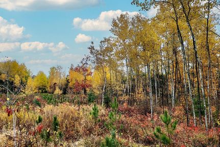 Farm and Ranch in Washburn County, Wisconsin