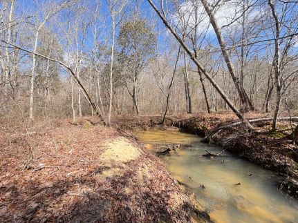 Hunting Property in Winston County, Alabama