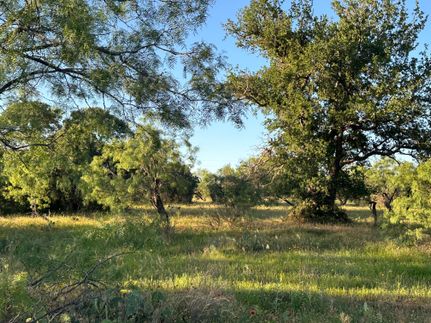 Undeveloped Land in Coleman County, Texas