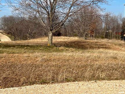 Land in Scott County, Iowa