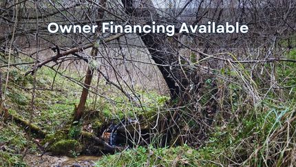 Hunting Property in Ashe County, North Carolina