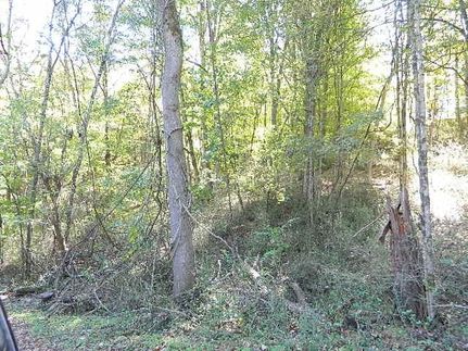 Land in Smyth County, Virginia