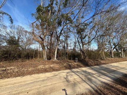 Land for sale in Pike County, Alabama