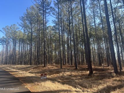 Farm and Ranch for sale in Madison County, Mississippi