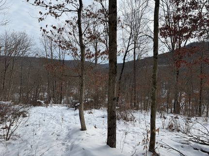 Undeveloped Land in Venango County, Pennsylvania