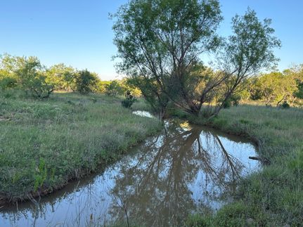 Timberland Property in Coleman County, Texas