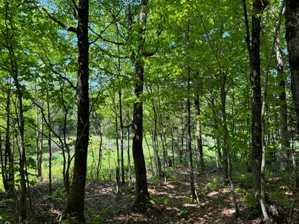 Farm and Ranch for sale in Lewis County, New York