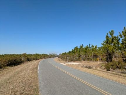 Timberland Property in Hamilton County, Florida