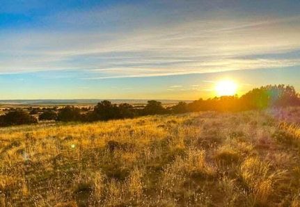 Undeveloped Land in Apache County, Arizona