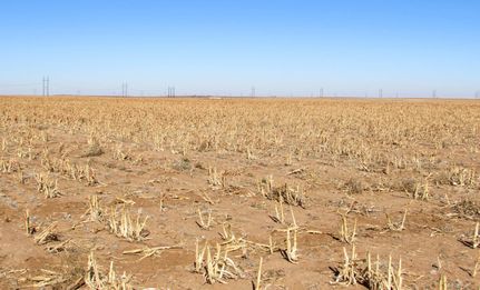 Farm and Ranch in Terry County, Texas