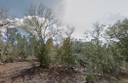 Undeveloped Land in Putnam County, Florida