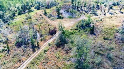 Hunting Property in Holmes County, Florida