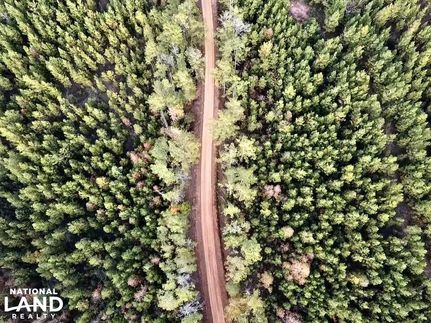 Hunting Property in Butler County, Alabama
