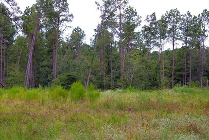 Undeveloped Land for sale in Angelina County, Texas