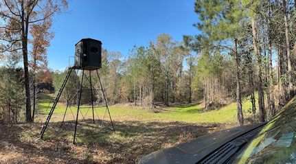 Timberland Property in Jefferson County, Mississippi
