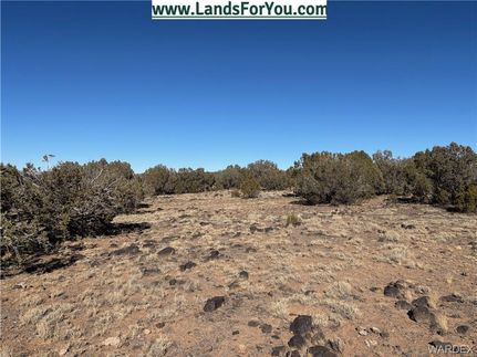 Undeveloped Land in Coconino County, Arizona