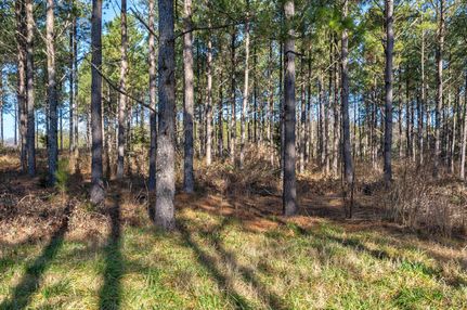 Timberland Property for sale in Oglethorpe County, Georgia